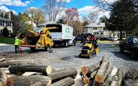 Best Tree Health Inspection  in Norris City, IL